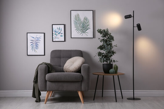 Stylish room interior with comfortable armchair and green eucalyptus tree