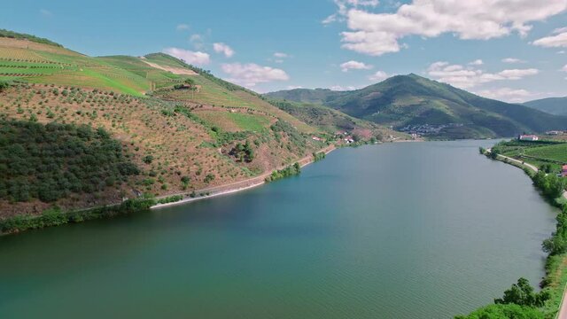 Scenic aerial view of Vila Real District along the Douro River with vineyards. Portuguese massive hills of landscapes wine growing by the National 222 Road, a traditional occupation in Portugal in 4K.