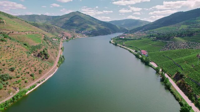 Scenic aerial view of Vila Real District along the Douro River with vineyards. Portuguese massive hills of landscapes wine growing by the National 222 Road, a traditional occupation in Portugal in 4K.