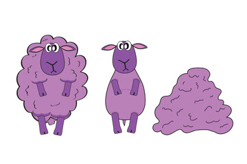 Vector illustration of a purple woolen and shorn sheeps isolated on white background. Concept of getting wool by shearing sheep in cartoon style