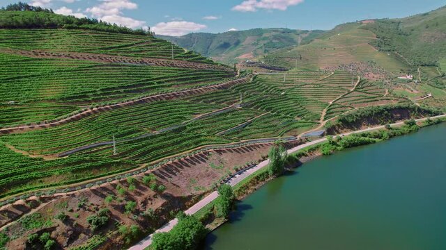 Scenic aerial view of Vila Real District along the Douro River with vineyards. Portuguese massive hills of landscapes wine growing by the National 222 Road, a traditional occupation in Portugal in 4K.