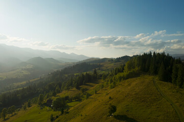 Obraz premium Aerial view of forest and beautiful conifer trees in mountains on sunny day