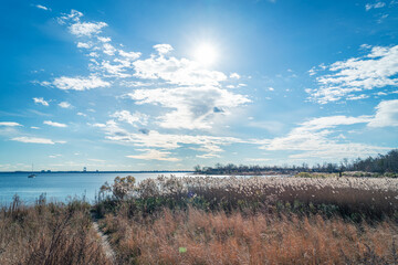 Obraz premium The Landscape of City Island