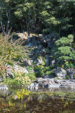 Pond in the Ninomaru Garden at the Tokyo Imperial Palace. Tokyo. Japan
