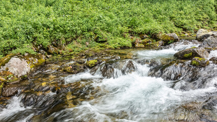 Fototapeta premium A fast stream flows along a rocky bed. The water is foaming. There is lush green vegetation on the shore. Kamchatka.