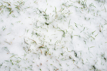 snow on grass © Yury Zap