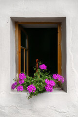 Fototapeta na wymiar Traditional white wall with yellow frames with beautiful and colorful flowers. Geranium on the windowsill. Beautiful and well maintained windows. Purple flowers.