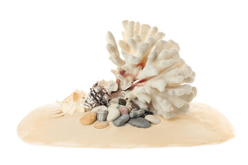 Beautiful exotic sea coral, shells and sand on white background