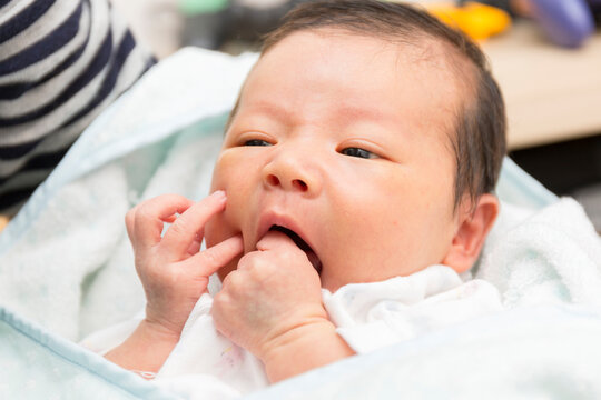 生後日目 の画像 24 件の Stock 写真 ベクターおよびビデオ Adobe Stock