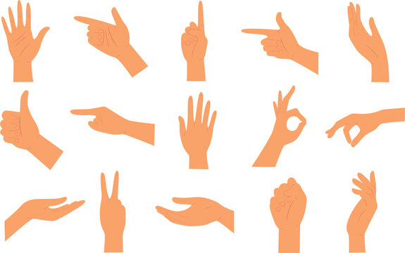 Hands. Various gestures of human hands on a white background. Vector flat illustration of hands in various situations.