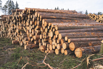 deforestation for roads, wood harvesting, wood as a renewable biological resource, deforestation area for highways, construction of toll roads, land acquisition for the construction of a major road