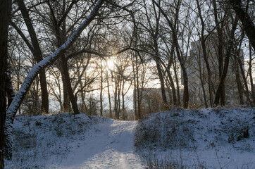 Morning after the first snowfall, winter in the city