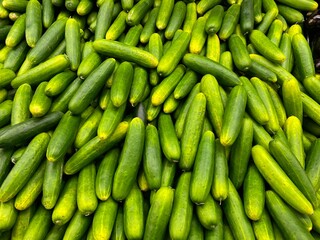 fresh cucumbers background