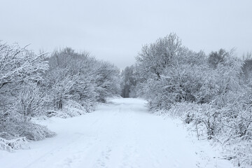 Obraz premium European winter landscape outside the city.