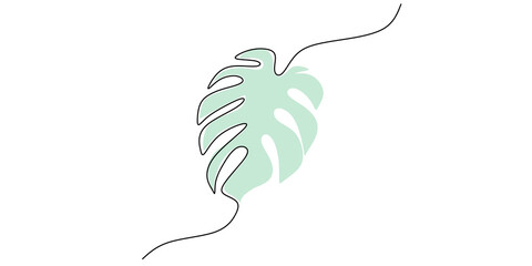 Continuous one single line of monstera leaf isolated on white background.