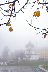 fog, yaroslavl, sport