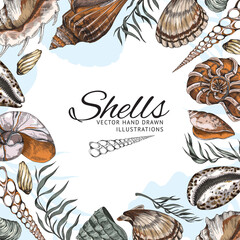 Seashells hand drawn banner with copy space for text in the middle, colored sketch vector illustration.