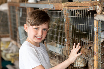 Fototapeta premium portrait of a boy touching a cage with a rabbit with his hand on a farm