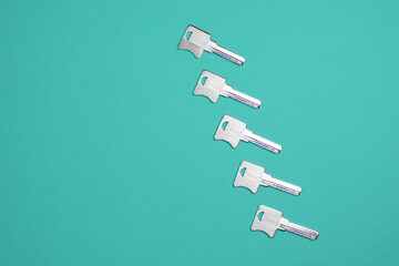 Door metal keys are located in a line on a colored background. Flat lay concept.