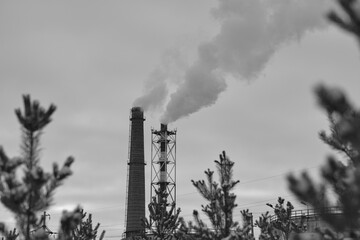 Two industrial pipes smoking with smoke against background pine winter forest in monochrome photo.