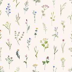 Wild flowers pattern. Seamless floral background. Repeating botanical print with spring blooms, plants and herbs for wallpaper and wrapping. Delicate flora texture. Colored flat vector illustration