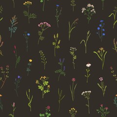 Seamless floral pattern. Wild flowers on black background. Botanical design with wildflowers and herbs print. Herbal flora texture. Endless backdrop with blooms. Colored flat vector illustration - obrazy, fototapety, plakaty