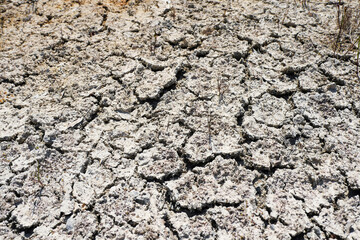 Dry cracked soil in a field during drought. Global warming problem. Ecology issue. Earth dying concept. Effect of water shortage on agriculture industry.