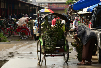 Fototapeta na wymiar Fresh bananas at the traditional market