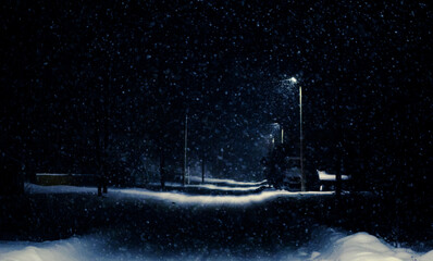 snowstorm in village