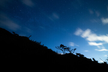 素敵な夜空