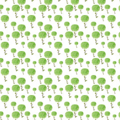 Fototapeta premium Pattern beautiful green chrysanthemum on a white background.