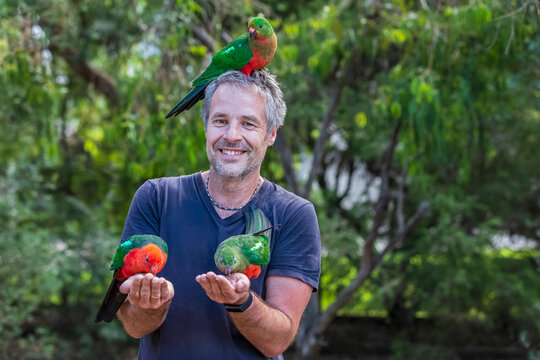 Smiling tourist feeding king parrots on hands and head