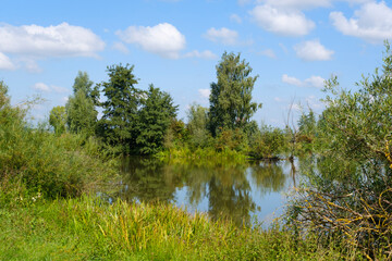Fototapeta na wymiar Altmühlsee im Altmühltal, Fränkisches Seenland, Franken, Bayern, Deutschland, Europa