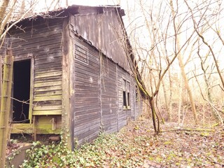 Cabane abandonn&eacute;e dans les bois