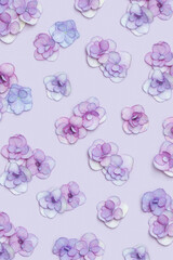 Naklejka premium Natural Hydrangea flower, minimal floral pattern violet monochrome colored. Layout with fresh flowers, background. Spring holiday concept, for Mothers day, 8 March, Womens day. Flat lay