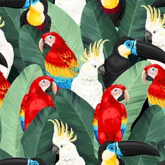 Tapeten Papagei Vektornahtloses Muster mit Vögeln und Palmblättern