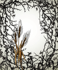 A Bible parable. The grain fell into the thorns. Vector drawing