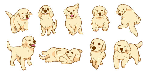 Cartoon Playful golden retriever puppy illustration  collection
