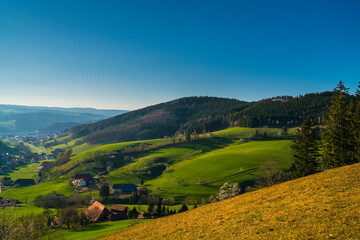 Germany, black forest panorama view above green pastures nature landscape and edge of the forest...