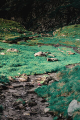 Fog covered mountain summer landscape in Transfagarasan, Romania
