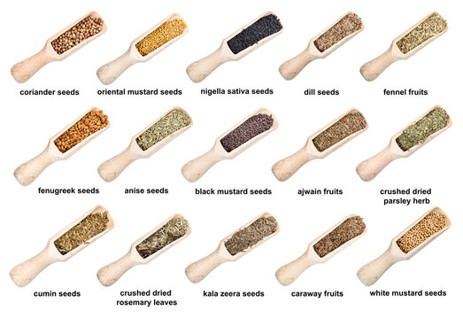 set of wooden scoops with spicy seeds with names
