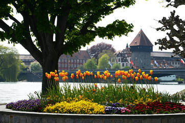 Konstanz am Bodensee, Frühling an der Seestraße