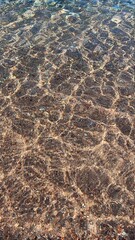 ripples in the water