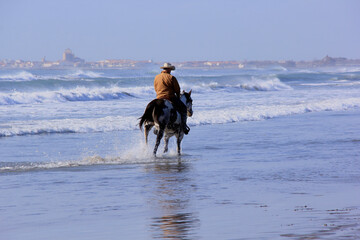cavalier et son cheval au bord de la mer