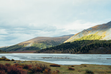 Scenic landscape with water streams in mountain lake and sunlit motley mountains in autumn colors. Beautiful scenery with autumn flora with view to shallow lake and hillside with forest in sunshine.