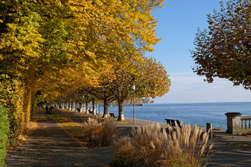 Konstanz am Bodensee, Herbst am Seeufer