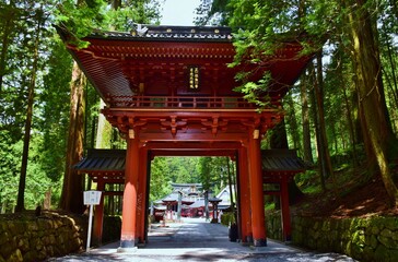 新緑の日光　二荒山神社　