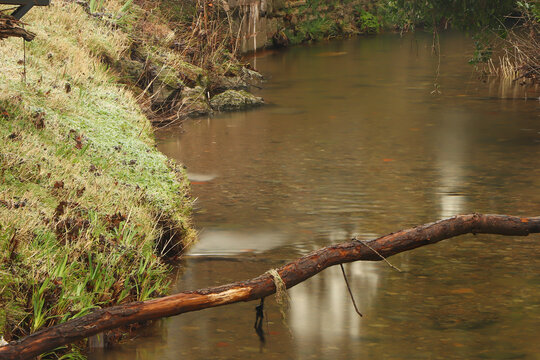 Dulas Brook running through Ewyas Harold in Autumn in Herefordshire