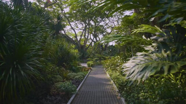 Botanic Gardens Singapore 01. High quality video footage