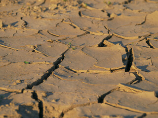 Dry arid land in summer after heat wave 
